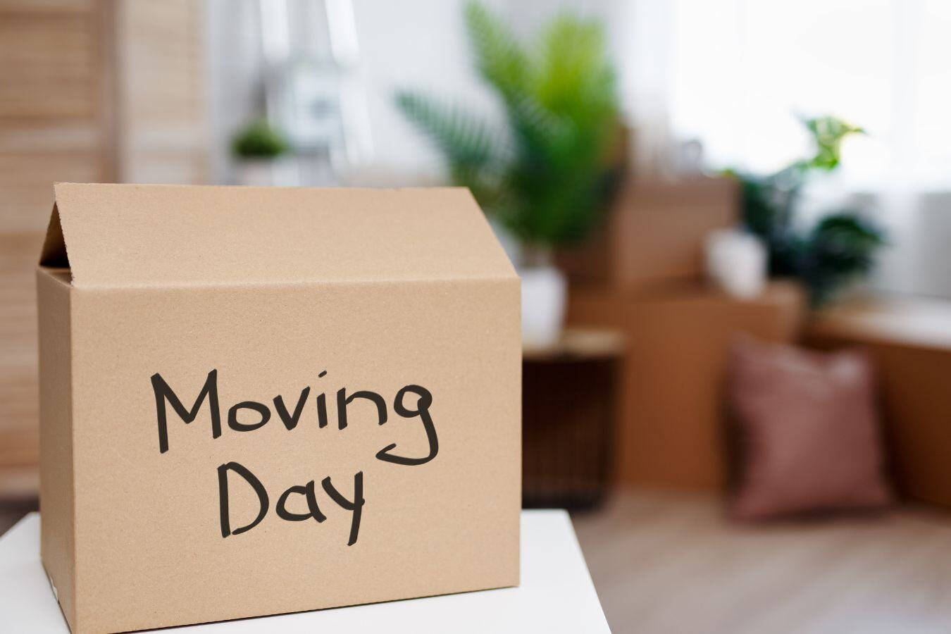 Moving day checklist