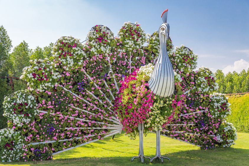 dubai miracle garden