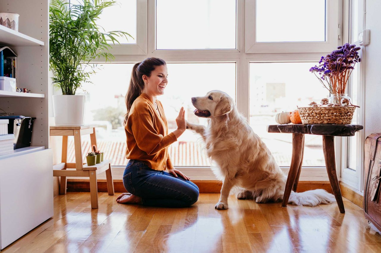 Woman doing high five with pet dog